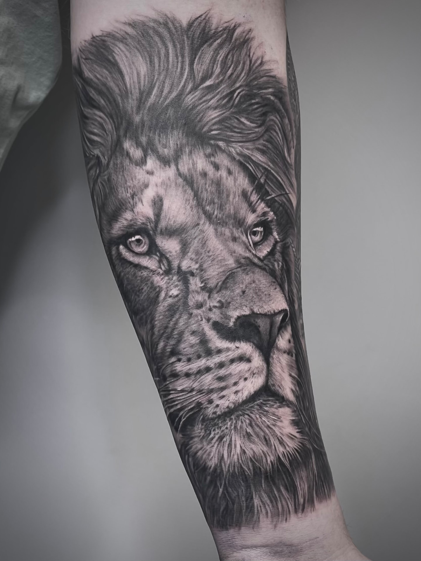 Tatuaggio realistico di un leone su braccio